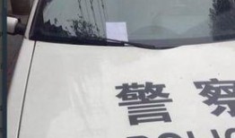 广州假警车最新爆料消息,揭秘伪装真相，警方严查中